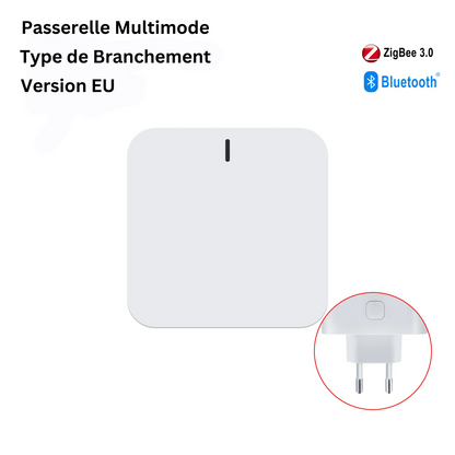 Thermostat Radiateur ZigBee GIRIER, Programmable et Connecté